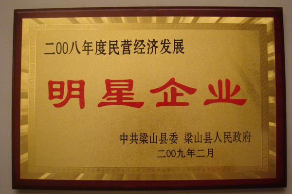 2008年度明星企业