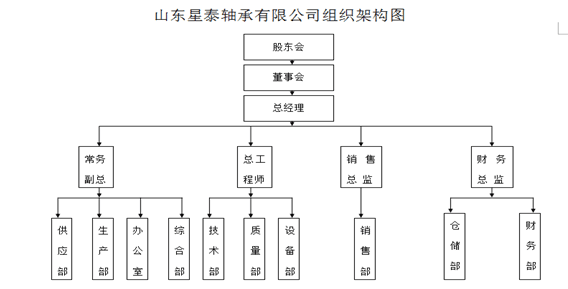 山东星泰轴承有限公司  组织机构图