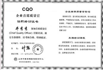 山东星泰轴承有限公司 首席质量官 
