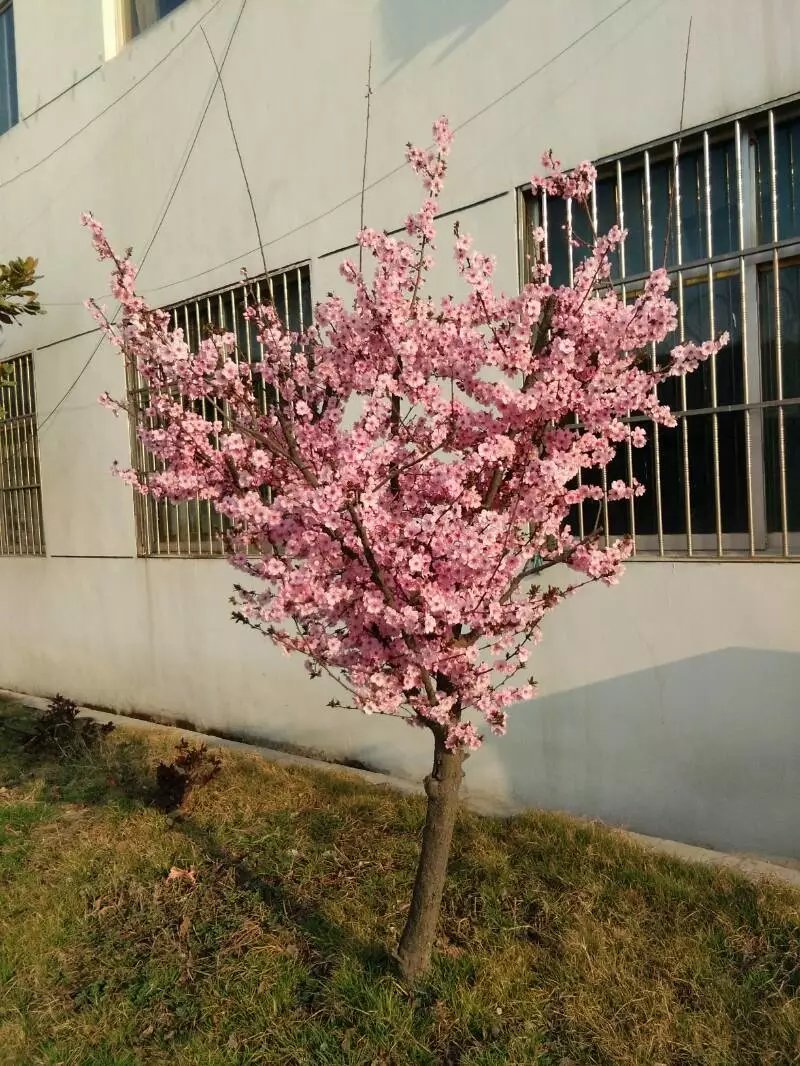 星泰轴承网址：WWW.ZLSxt.com