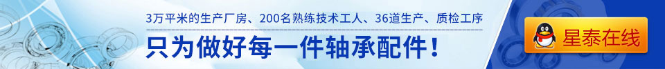 只为做好每一件轴承配件！